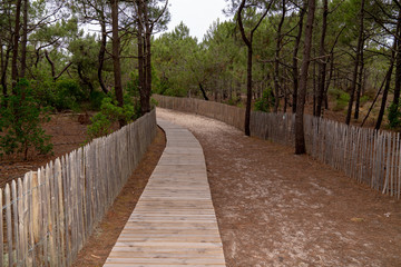 Wooden Path To Beach In Arcachon bay France
