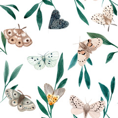 Watercolor night moth isolated on white background. Moths vintage illustration. Night butterfly.