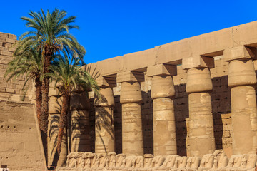 Palm trees in Karnak temple complex in Luxor, Egypt