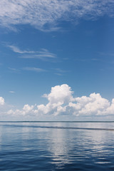 Rio Negro river in the Brazilian Amazon Jungle