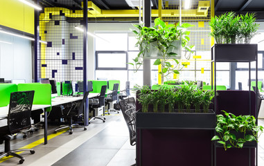 Modern open space office interior with green plants