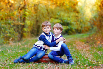 Naklejka na ściany i meble Portrait of little school kids boys sitting in forest. Happy children, best friends and siblings having fun on warm sunny day early autumn. Twins and family, nature and active leisure.