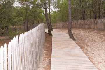 Wooden path to access beach in Grand Crohot in Lege Cap-Ferret France