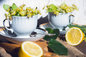 healthy herbal linden tea