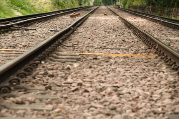 Fototapeta premium Train tracks