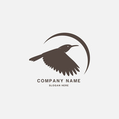 Bird icon logo design vector