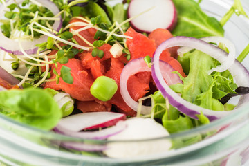 Bowl of salad with smocked salmon.