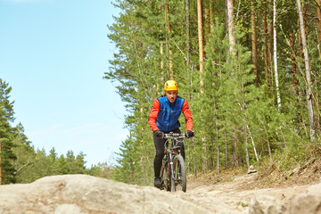 cyclist riding a mountain bike along a forest road