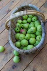 green apples in a bucket