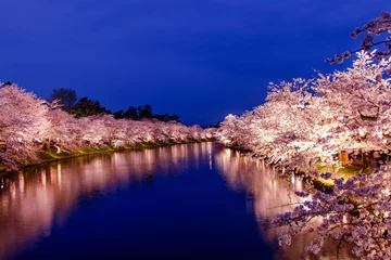 Foto auf Alu-Dibond 弘前公園の夜桜 © Kaede Tachibana