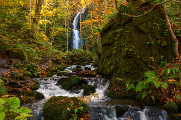 Kumoi waterfall or Kumoi no taki at oirase stream. vibrant autumn colors (foliage) at lake towada, Aomori Prefecture