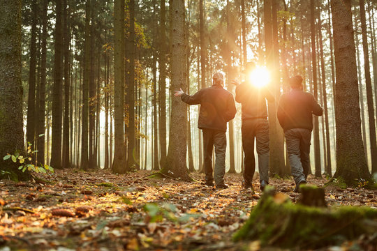 Forest rangers walking in the evening sun