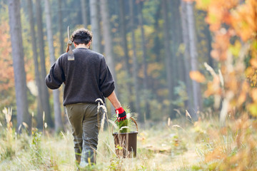 Forester or forester trainee with pine seedling