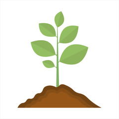 plant icon. sign design illustration on white background