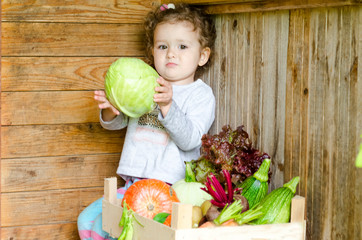 Fototapeta premium cute girl holding cabbage in her hands. the child happily shows a new fresh seasonal harvest in a box: pumpkin, zucchini, cabbage, beets, onions, peas, lettuce. soft focus; copy space; mock up