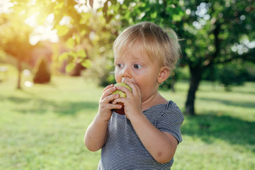Fototapeta premium cute little boy eating apple outdoor