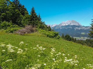 Beautiful alpine landscape with green meadows, alpine cottages and mountain peaks, Tyrol Alps, Austria