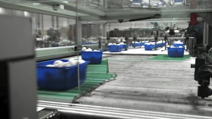 Mushroom production. Production line packs containers with mushrooms. Blue containers move along the conveyor. Organic food production. Food packaging for long-term storage