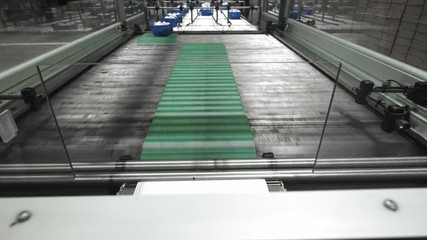 Mushroom production. Production line packs containers with mushrooms. Blue containers move along the conveyor. Organic food production. Food packaging for long-term storage