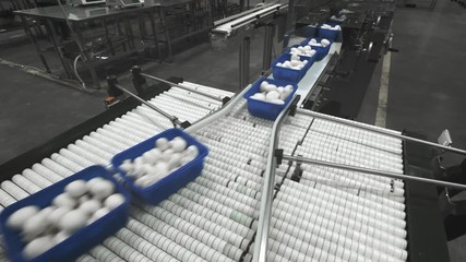 Mushroom production. Production line packs containers with mushrooms. Blue containers move along the conveyor. Organic food production. Food packaging for long-term storage