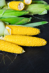  Fresh Yellow Maize. Raw Organic Sweet Corn Cobs on Black Dark Background