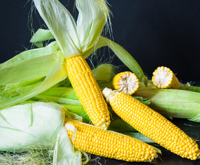  Fresh Yellow Maize. Raw Organic Sweet Corn Cobs on Black Dark Background
