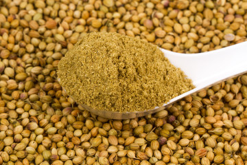 Coriander powder with coriander seeds.