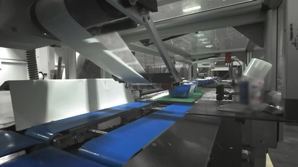 Mushroom production. Production line packs containers with mushrooms. Blue containers move along the conveyor. Organic food production. Food packaging for long-term storage