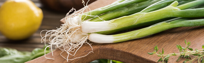 panoramic shot of green onion on wooden cutting board