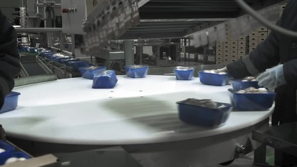 Mushroom production. Production line packs containers with mushrooms. Blue containers move along the conveyor. Organic food production. Food packaging for long-term storage