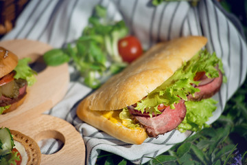 Smoked meat sandwich on a picnic on a sunny day.