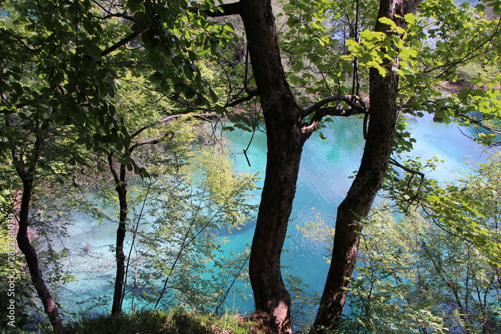 Wall mural plitvice - croatie