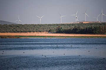 energías renovables molinos de viento en la naturaleza
