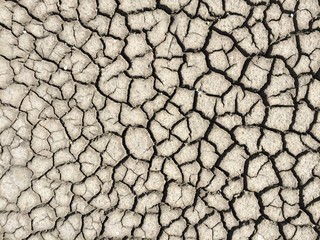 Parched land in the Regional Natural Park of Camargue