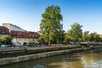 Fototapeta na wymiar Bars on the river shore in Ljubljana