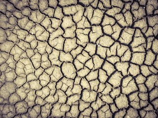 Parched land in the Regional Natural Park of Camargue