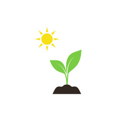 Young sprout in soil with sun colorful vector icon. New green plant in soil under the sun.