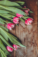 Tulips lie on a wooden table. Close-up. Pink tulips. Raspberry flowers.