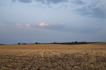 paisaje de campos de cultivo en europa 
