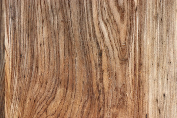 Naklejka premium Texture of bark background,tree texture,wood background