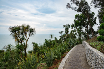 view of the sea through the thickets in the botanical garden, on a cloudy day with clouds in the sky.
