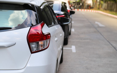 Closeup of rear or back side of white cars parking in parking area beside the street in sunny day.