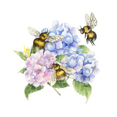 Watercolor pattern with a bouquet of pink blue and turquoise hydrangea surrounded by bumblebees.