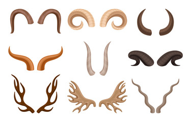 Set of horns of different animals. Vector illustration on white background.