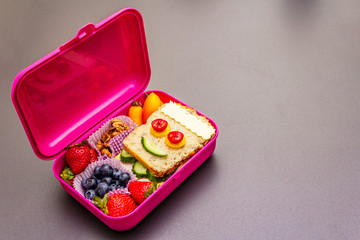 School lunch box