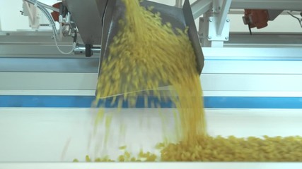 Pasta factory and pasta production stages. Close up of dry macaroni spilling from machine unit on modern food production factory. Conveyor line for macaroni production. Pasta Factory at Work