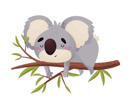 Koala Cartoon Images – Browse 29,542 Stock Photos, Vectors, and Video |  Adobe Stock