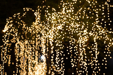 Blur - bokeh Decorative outdoor string lights hanging on tree in the garden at night time