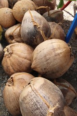 Coconut fruit is delicious at street food