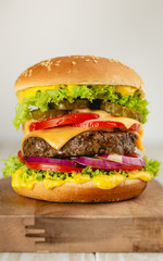 Fresh tasty burger